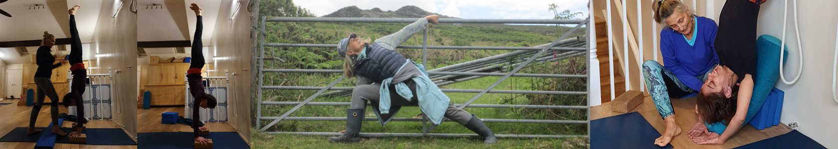 Yoga Intensives, Retreats and Workshops
