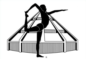 Certified Iyengar Yoga Teachers